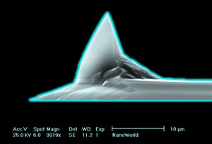 NANOSENSORS™ Special Developments List (SDL) PointProbe Plus AFM probe PPP with Silicon Nitride coating